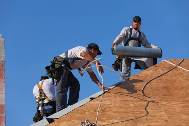 Quick and Trustworthy Emergency Roof Repair Services in Livonia, MI