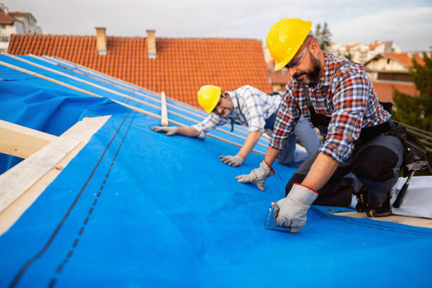 Best Residential Roofing Contractor  in Livonia, MI