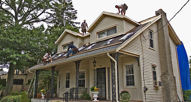 Best Residential Roofing Contractor  in Livonia, MI